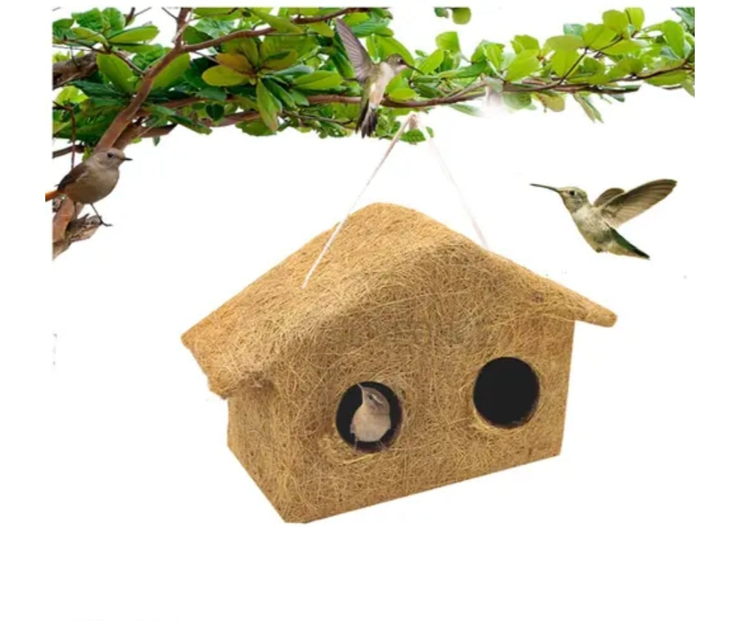 Bird House DM31
