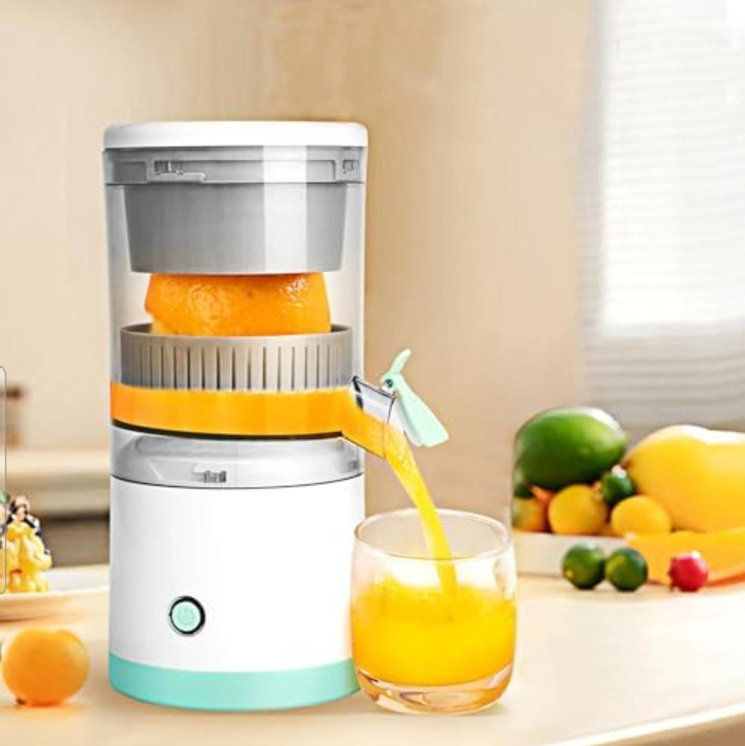 Electric portable juicer DM43