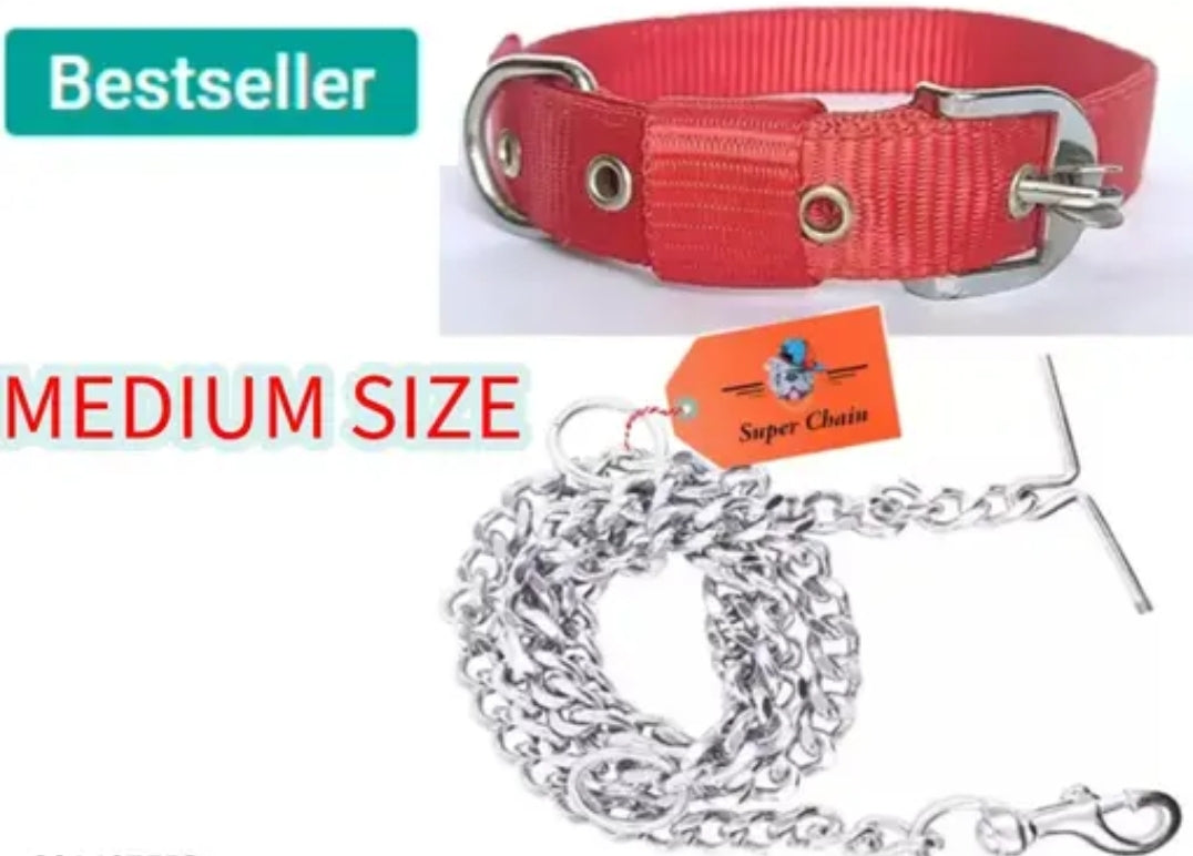 Dog neck collar with chain combo DM542
