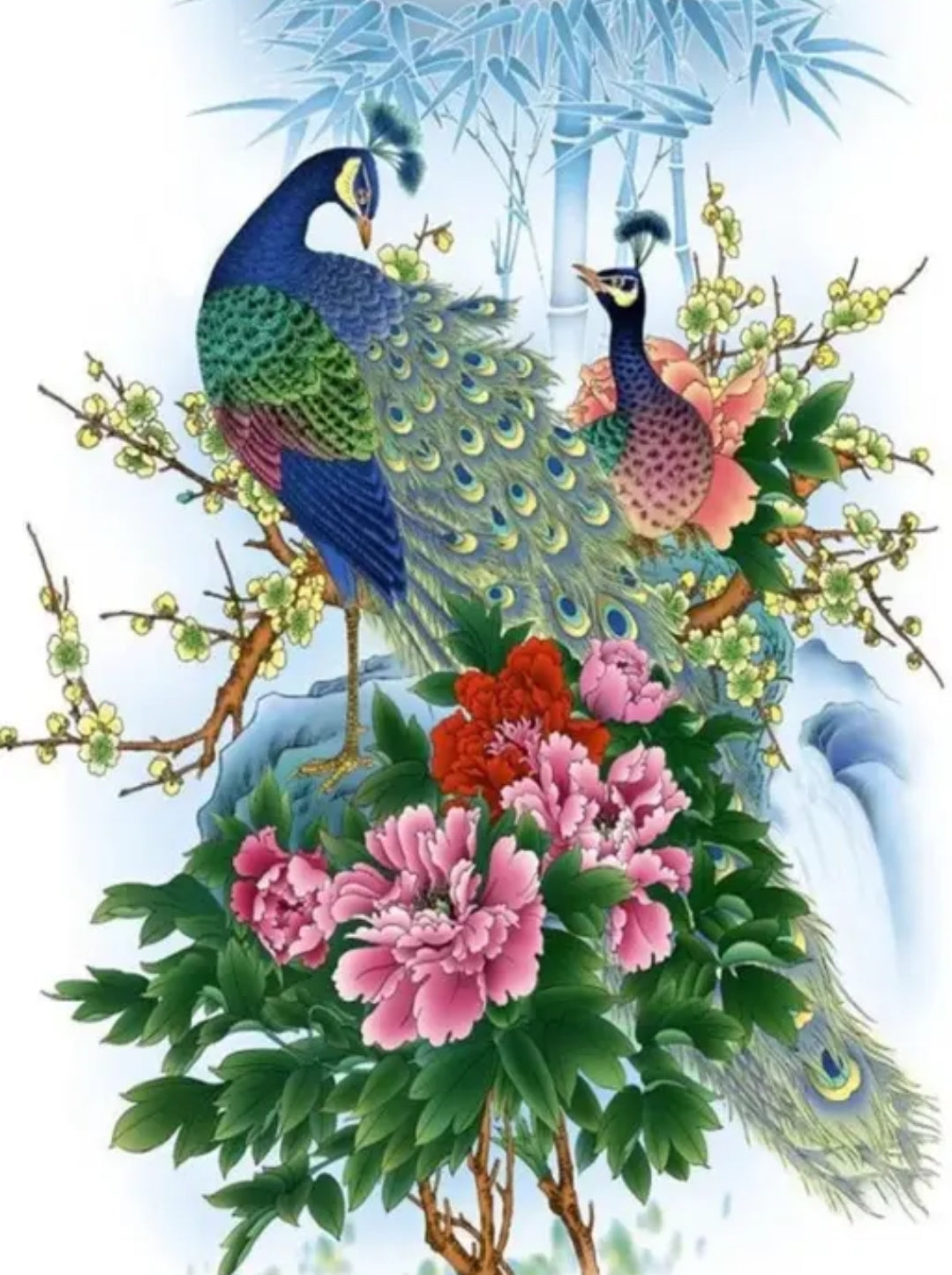 Peacock wallpaper sticker DM613