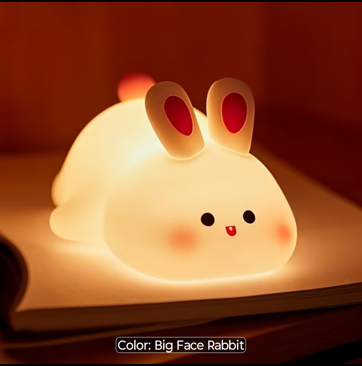 Cute Bunny Light DM1023