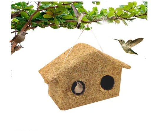 Bird House DM31