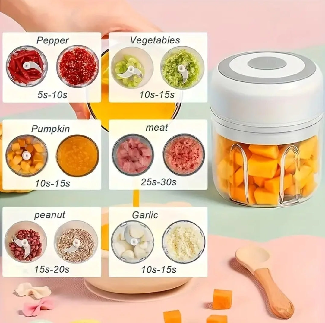 Mini Electric Chopper DM307