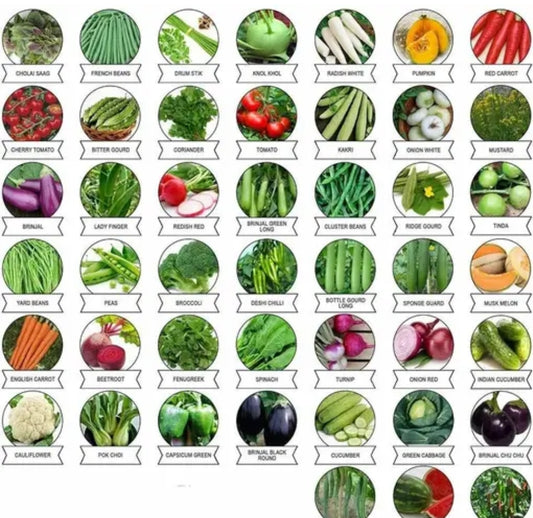 All vegetables seeds DM379