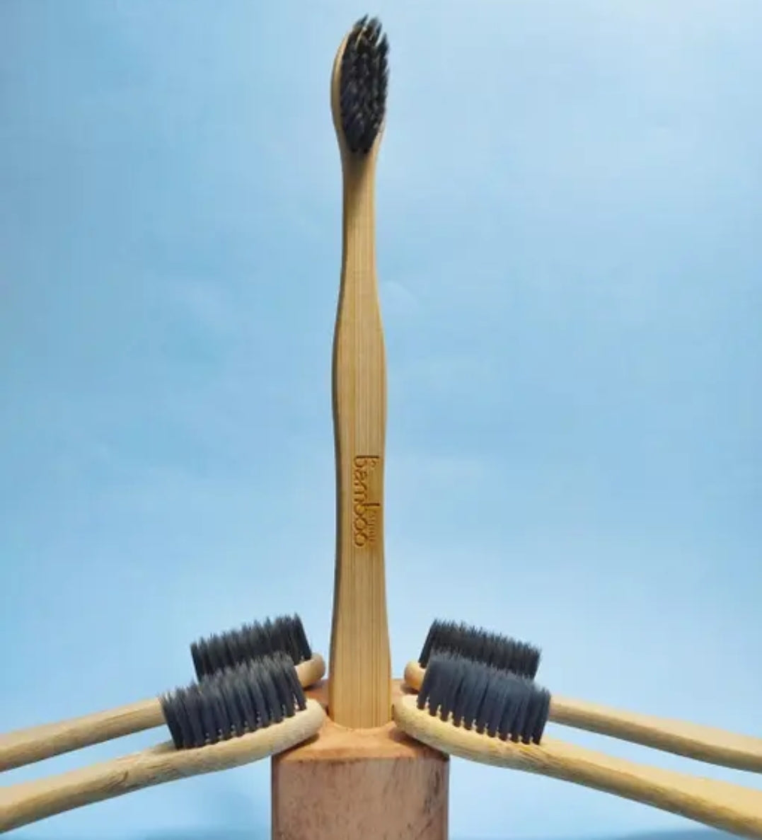Bamboo 5 Toothbrush DM553