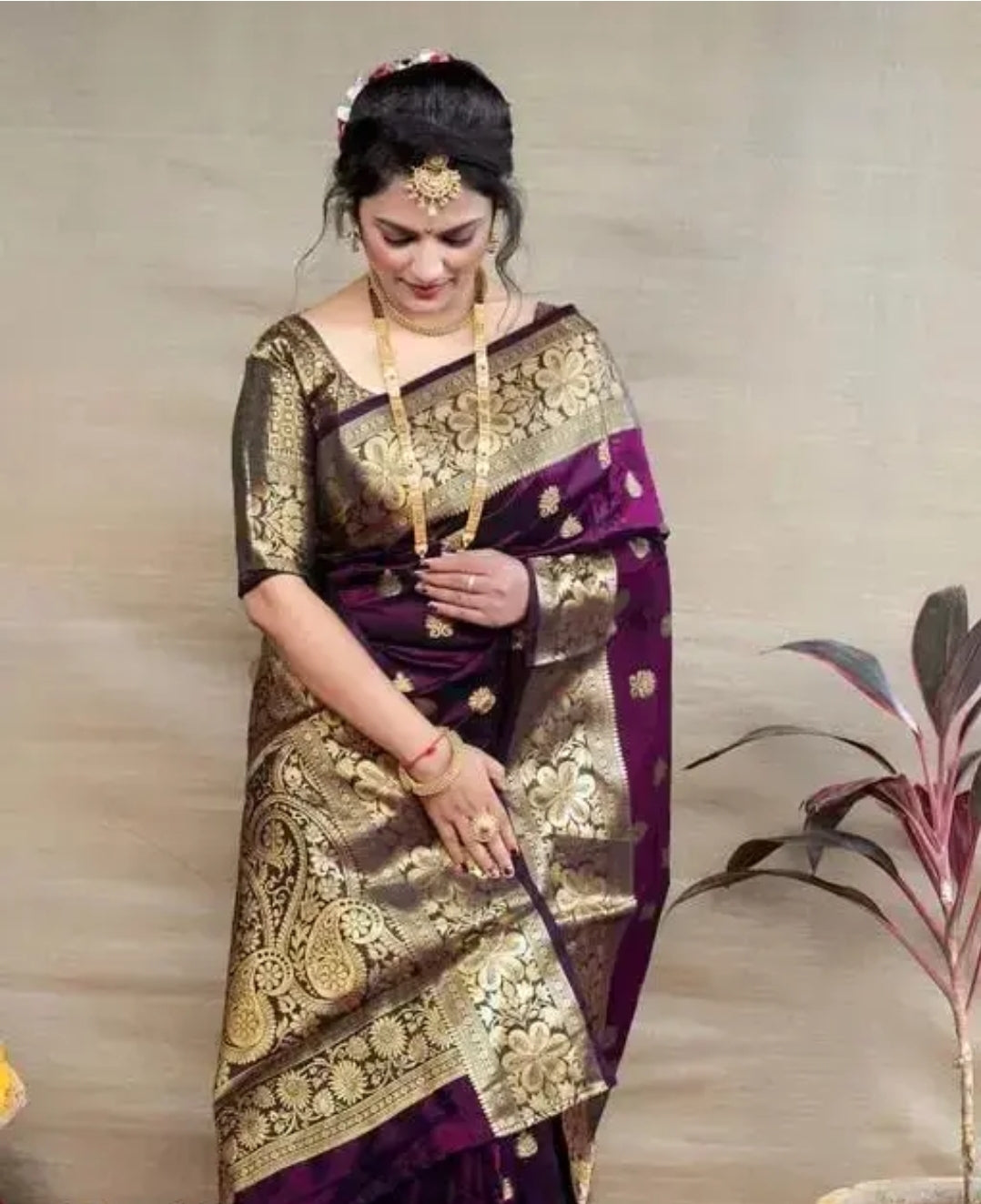 Banarsi sari DM704