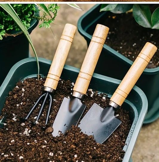 3 pcs Garden Tool DM119